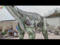 پارک موضوعی 12M Animatronic Brontosaurus اندازه واقعی Animatronic دایناسور مدل واقعی برای ژوراسیک