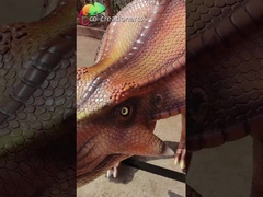 Resin Protoceratops مجسمه های حیوانی فایبرگلاس بزرگ دایناسور سطح صاف