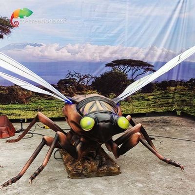 ضد آب حشرات انیمیشن Cicada
