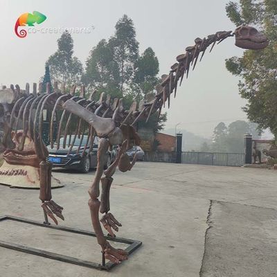 اسکلت دایناسور پارک ژوراسیک CE ماکت اسکلت شونوزاروس مقاومت در برابر آب و هوا