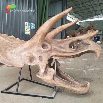 خرید ISO آب دافع اسکلت دایناسور ماکت فسیلی اندازه حیات جمجمه تریسراتوپس online manufacture