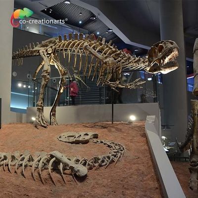 خرید landscape decoration Outdoor Yangchuanosaurus Skeleton Dinosaur Replica Fossil online manufacture