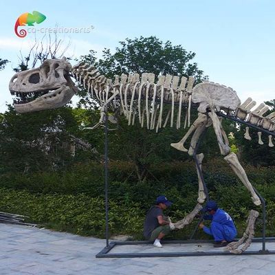 خرید طول 15 متر موزه با کیفیت کپی دایناسور T Rex Skull دافع آب online manufacture