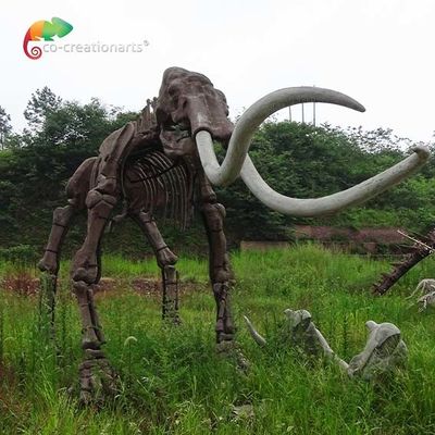 خرید مقاومت در برابر آب و هوا مدل ماموتوس اسکلت حیوانات در اندازه واقعی ماکت online manufacture