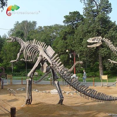 خرید فایبرگلاس با اندازه واقعی جمجمه دایناسور اسکلت هادروسوروس ضد پیری online manufacture