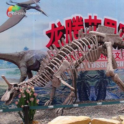 خرید دکوراسیون پارک کپی های فسیلی دایناسور اندازه واقعی اسکلت Tsintaosaurus ضد آفتاب online manufacture