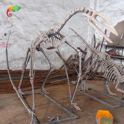 خرید نمایشگاه موزه رزین دایناسور اسکلت Quetzalcoatlus اسکلت قابل تنظیم online manufacture