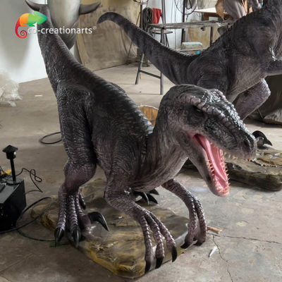 قیمت خوب پارک تفریحی سایز زندگی دایناسورهای انیماتونیک Velociraptor انیماتونیک با حرکت واقعی و صدا آنلاین