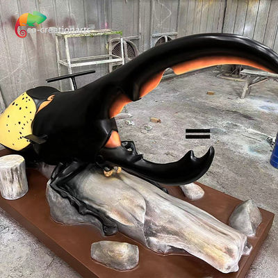 نام