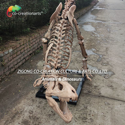 نام