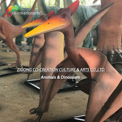 نام