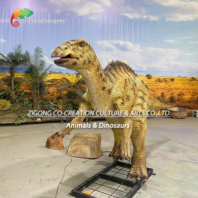 نام